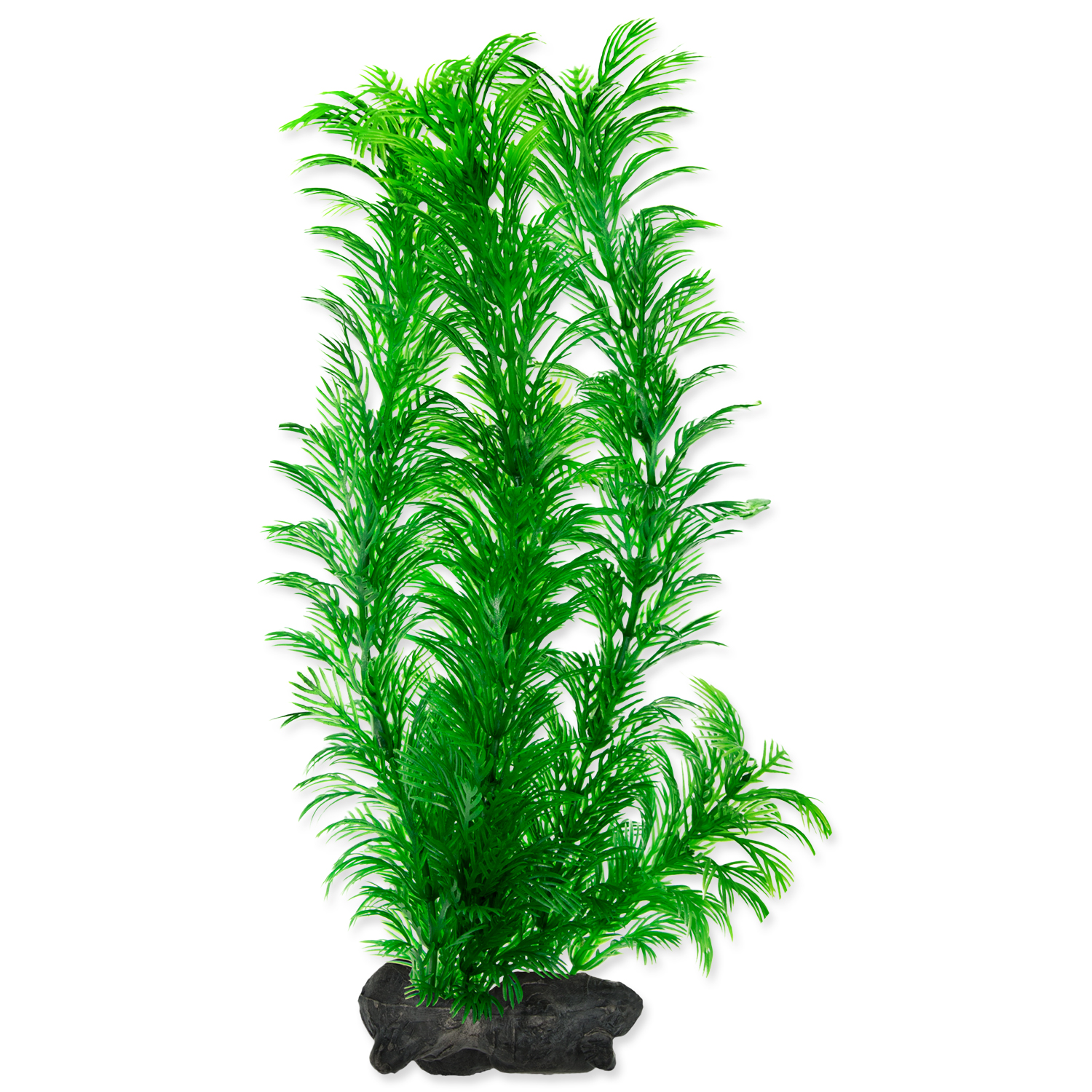 rostliny akvarijní