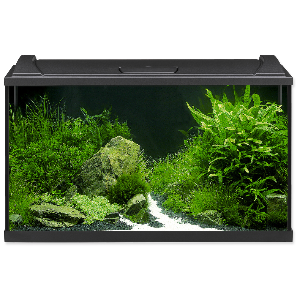 Akvárium set EHEIM Aquapro LED černý 126l, 82*50*37cm POUZE OSOBNÍ ODBĚR