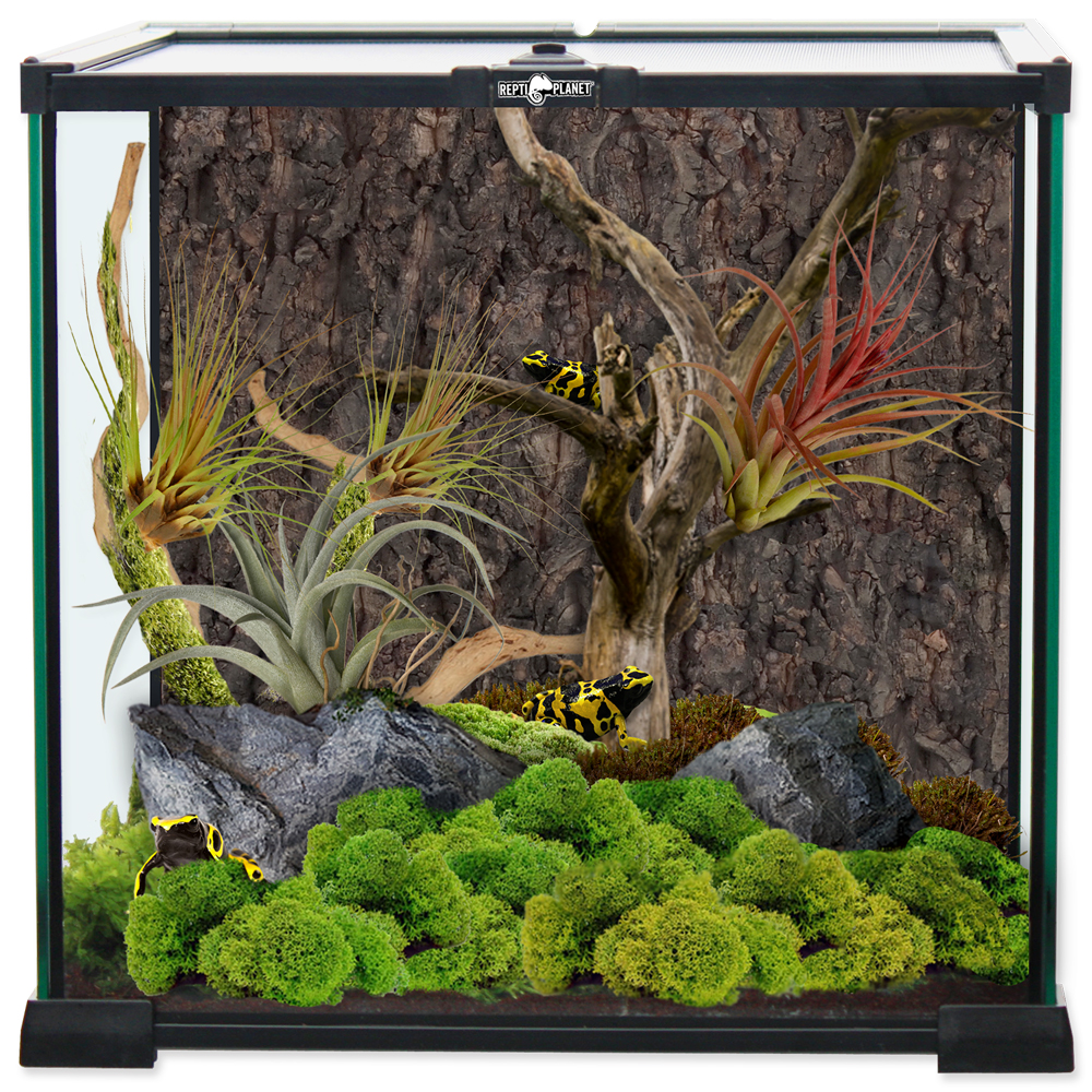 Terárium REPTI PLANET skleněné 30 x 30 x 30 cm POZE OSOBNÍ ODBĚR