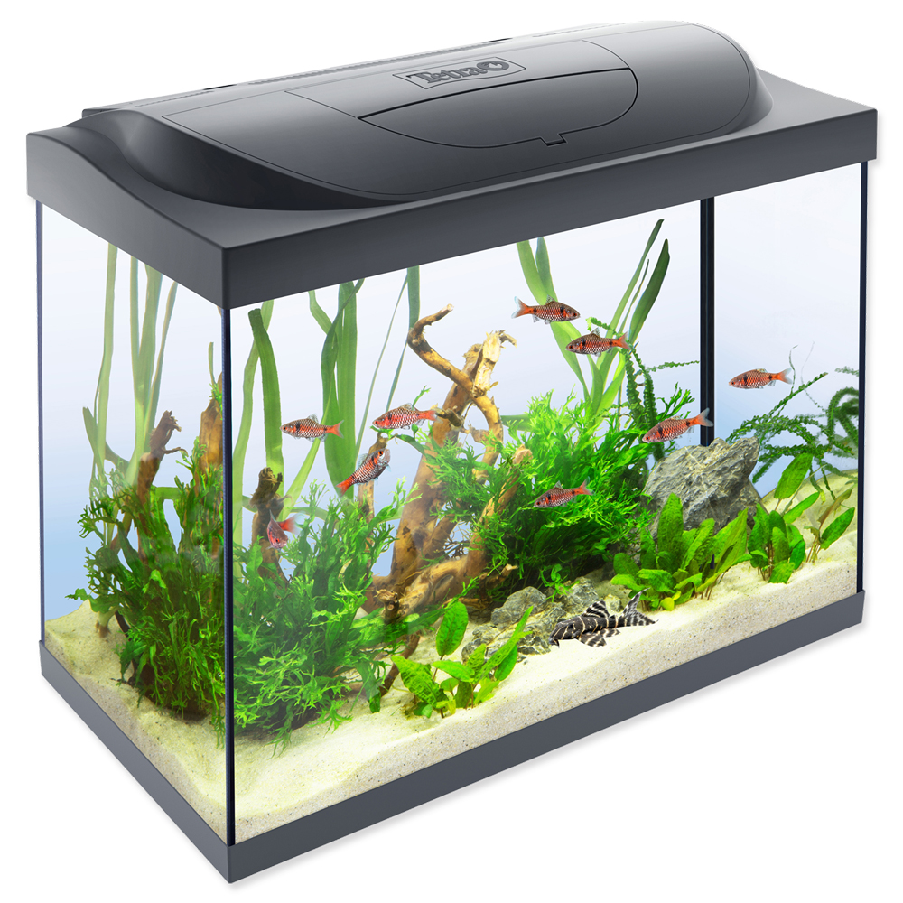 Akvárium set TETRA Starter Line LED 80 l, 62,5*34*53,5 cm POUZE OSOBNÍ ODBĚR