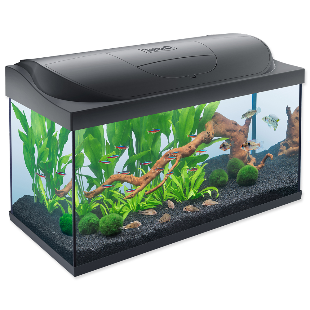 Akvárium set TETRA Starter line LED 78 x 49 x 37 cm 105l POUZE OSOBNÍ ODBĚR