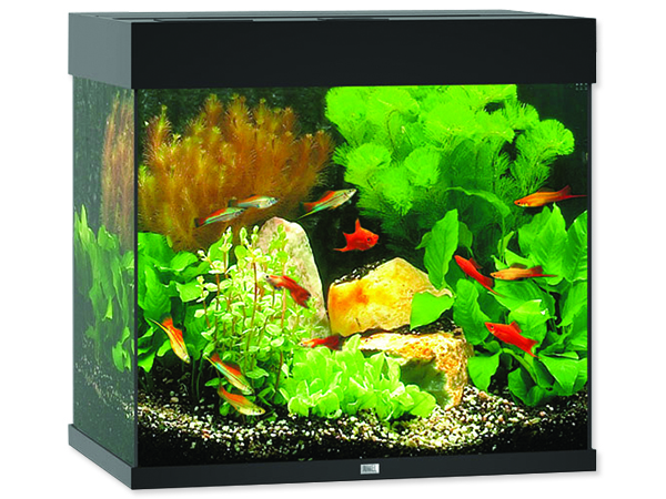 Akvárium set JUWEL Lido LED 120 černé 120l POUZE OSOBNÍ ODBĚR