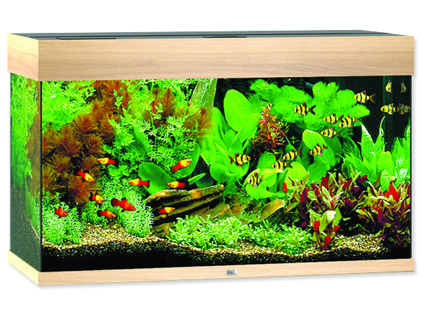 Akvárium set JUWEL Rio LED 125 dub 125l POUZE OSOBNÍ ODBĚR