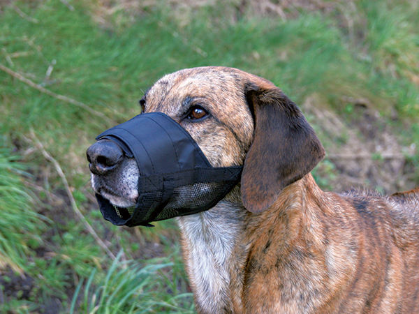 Náhubek TRIXIE se síťkou černý S-M