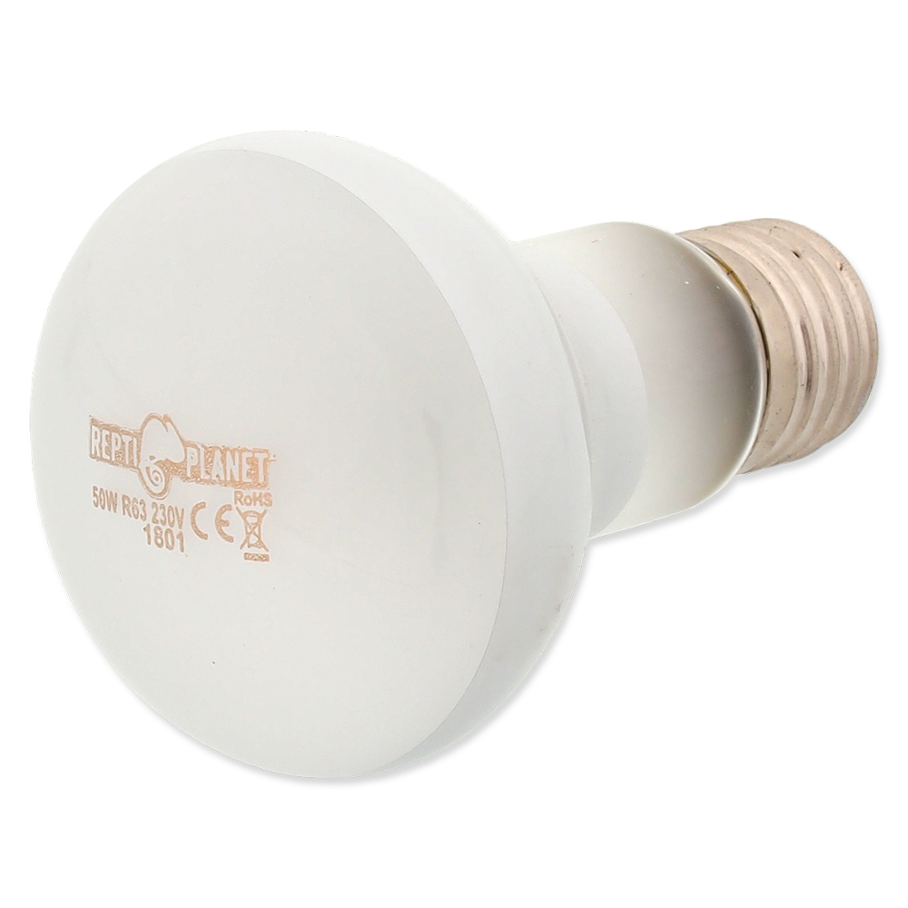 Žárovka REPTI PLANET Daylight Frosted 50W