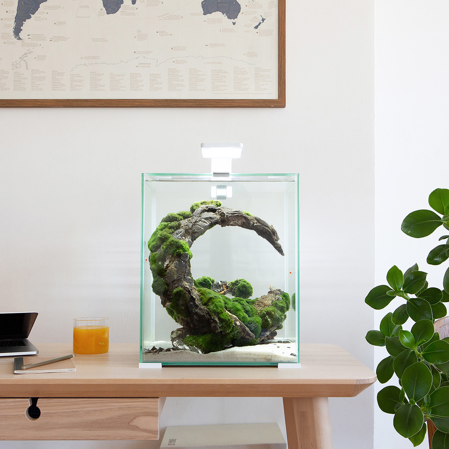 Akvárium set AQUAEL SHRIMP Day & Night 30 bílé 30l POUZE OSOBNÍ ODBĚR