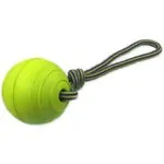 Hračka Dog Fantasy EVA Foam míč s lanem plastová a plovoucí zelená 8cm