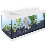 Akvarijní set Tetra Starter Line LED bílá 60x30x30cm 54l