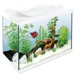 Akvarijní set Tetra Starter Line LED bílá 61x32x51cm 80l