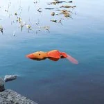 Hračka Trixie kachna polyester 50cm