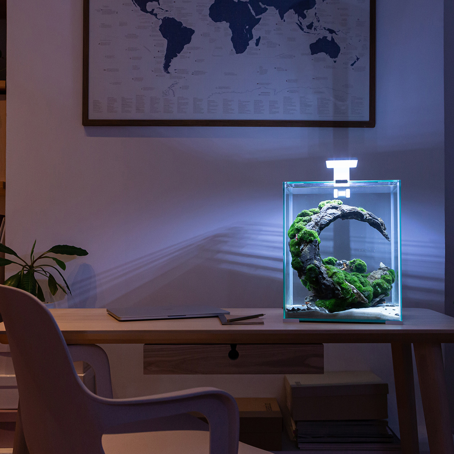 Akvárium set AQUAEL SHRIMP Day & Night 30 bílé 30l POUZE OSOBNÍ ODBĚR