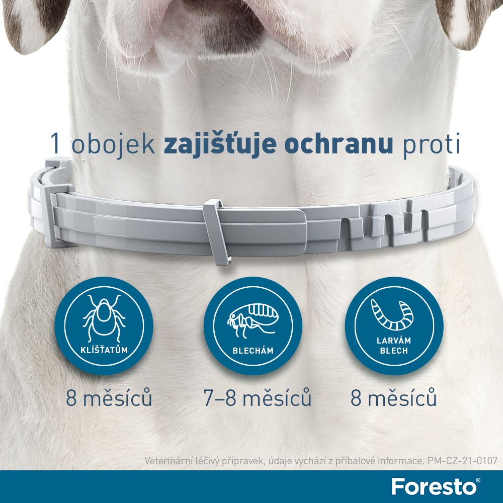 Foresto 1,25 g + 0,56 g obojek pro kočky a psy ≤ 8 kg