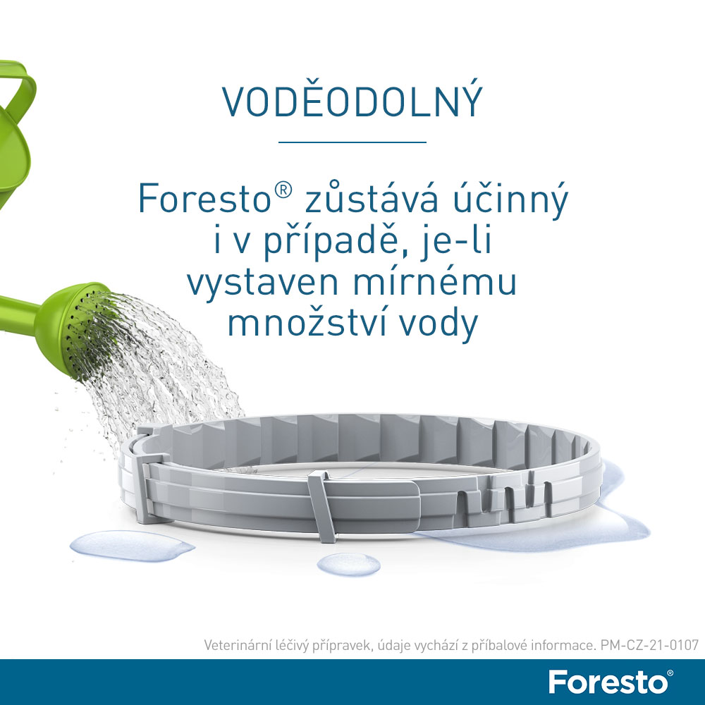 Foresto 1,25 g + 0,56 g obojek pro kočky a psy ≤ 8 kg
