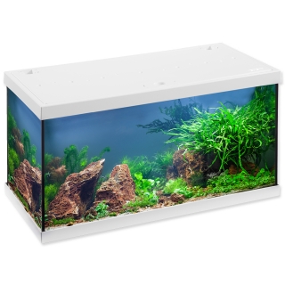 Akvárium set EHEIM Aquastar LED bílé 54l POUZE OSOBNÍ ODBĚR