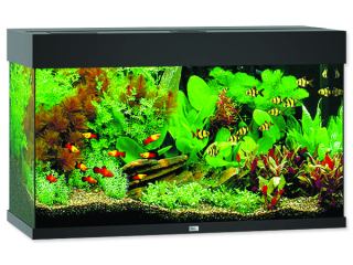 Akvárium set JUWEL Rio LED 125 černé 125l POUZE OSOBNÍ ODBĚR