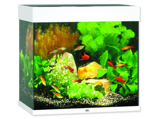 Akvárium set JUWEL Lido LED 120 bílá 120l POUZE OSOBNÍ ODBĚR  