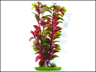 Rostlina LIVING WORLD Red Ludwigia 30 cm 